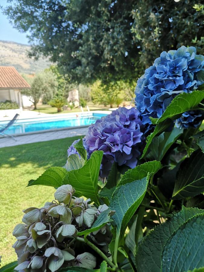Villetta Blue GardenSonnino エクステリア 写真